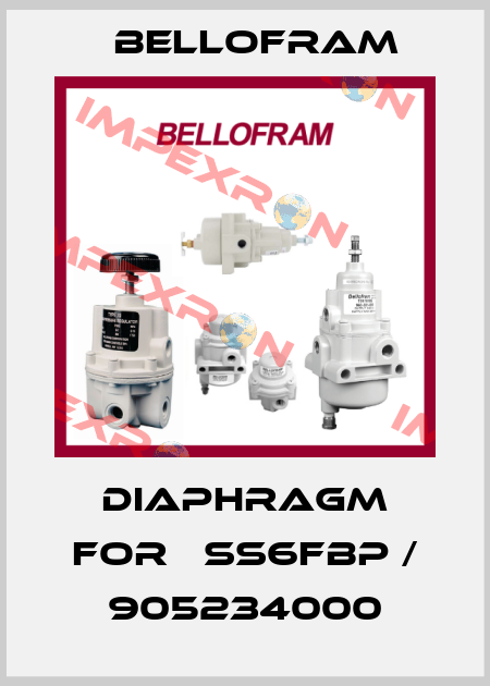 Diaphragm For 	SS6FBP / 905234000 Bellofram