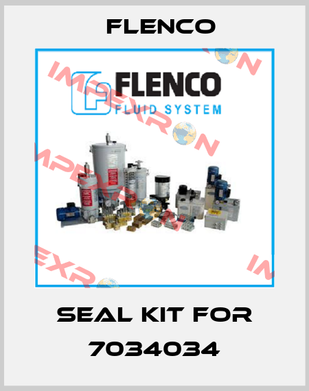 seal kit for 7034034 Flenco
