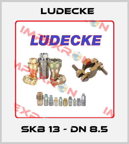 SKB 13 - DN 8.5 Ludecke