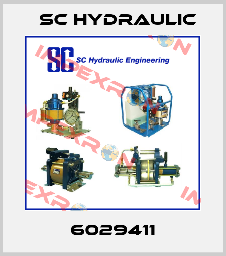 6029411 SC Hydraulic