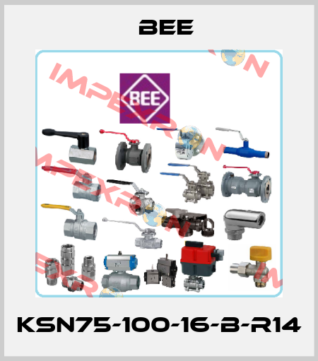 KSN75-100-16-B-R14 BEE