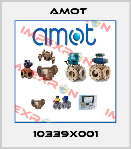 10339X001 Amot