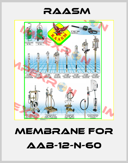 Membrane for AAB-12-N-60 Raasm