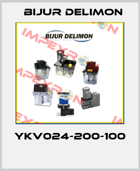 YKV024-200-100  Bijur Delimon