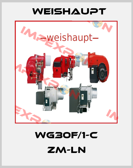 WG30F/1-C ZM-LN Weishaupt