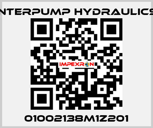 01002138M1Z201 Interpump hydraulics