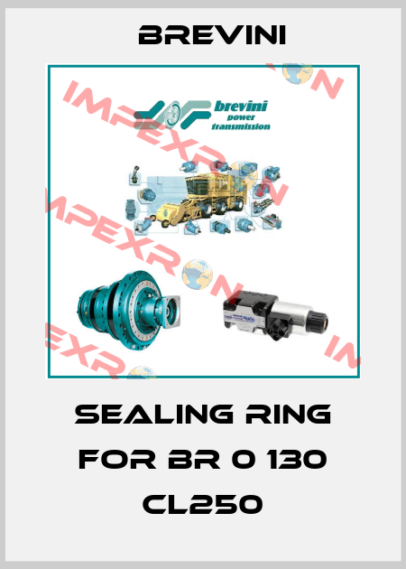 sealing ring for BR 0 130 CL250 Brevini
