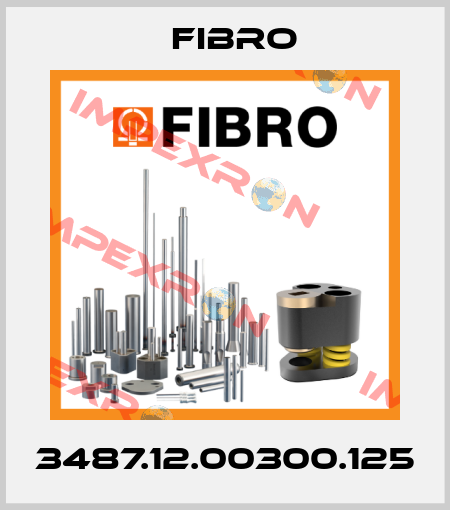 3487.12.00300.125 Fibro