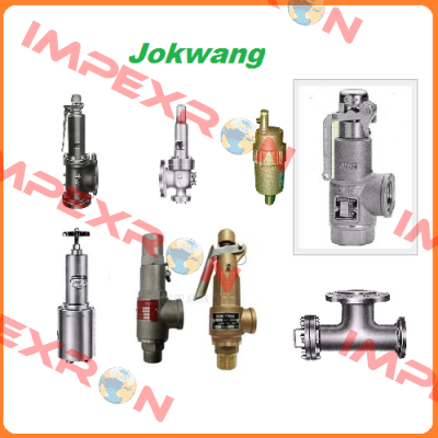 bearing cover for valve  JSV-FF100 Jokwang