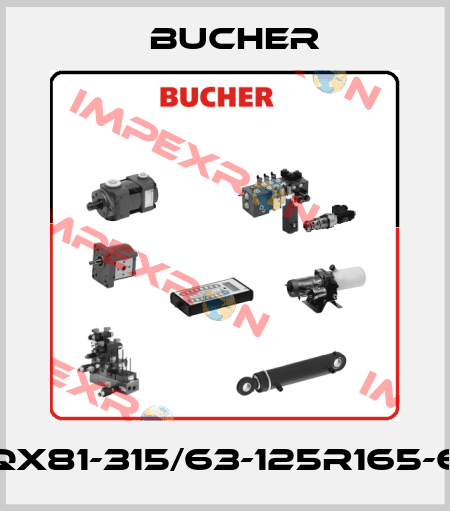 QX81-315/63-125R165-6 Bucher
