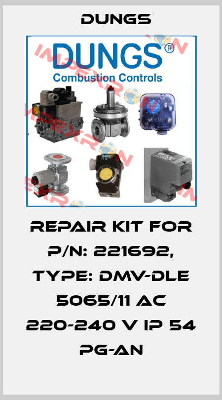 Repair Kit for P/N: 221692, Type: DMV-DLE 5065/11 AC 220-240 V IP 54 PG-An Dungs