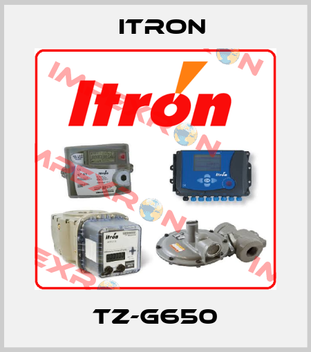 TZ-G650 Itron