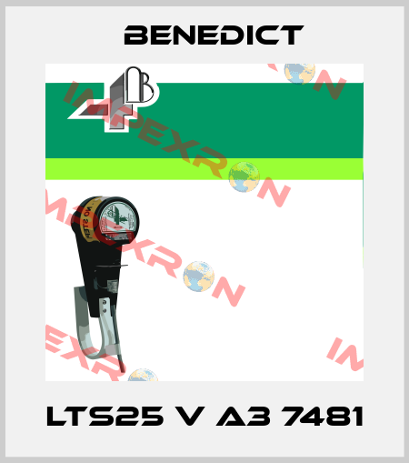 LTS25 V A3 7481 Benedict
