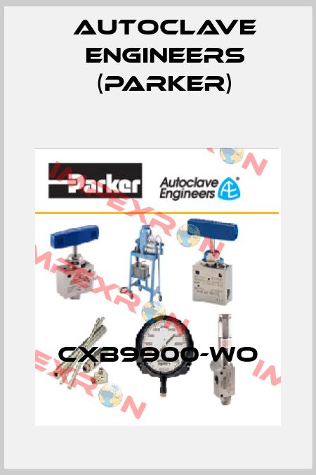 CXB9900-WO Autoclave Engineers (Parker)