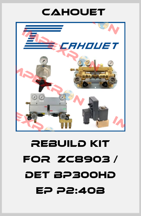 rebuild kit for  ZC8903 / DET BP300HD EP P2:40B Cahouet