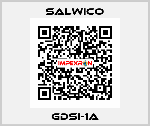 GDSI-1A Salwico