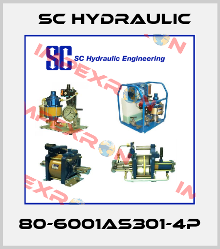 80-6001AS301-4P SC Hydraulic