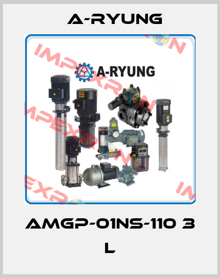 AMGP-01NS-110 3 L A-Ryung