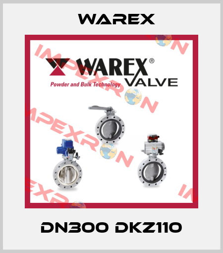 DN300 DKZ110 Warex