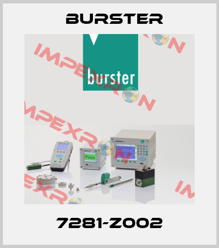 7281-Z002 Burster