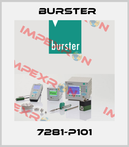 7281-P101 Burster