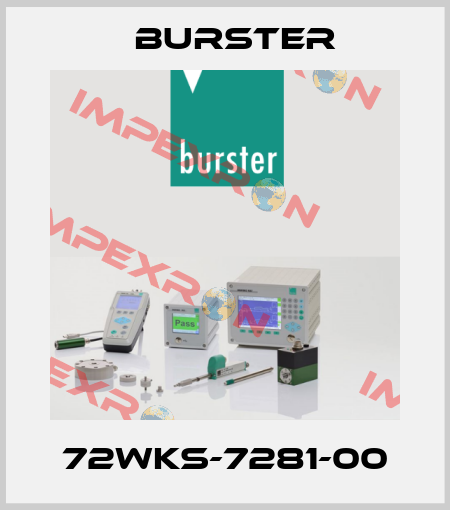72WKS-7281-00 Burster