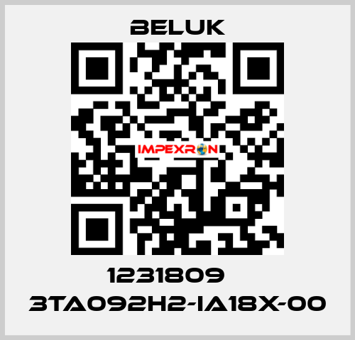 1231809    3TA092H2-IA18X-00 Beluk