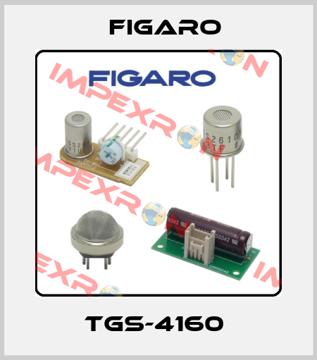 TGS-4160  Figaro
