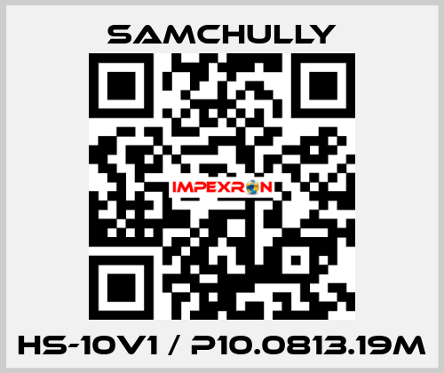 HS-10V1 / P10.0813.19M Samchully