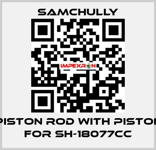 Piston rod with piston for SH-18077CC Samchully