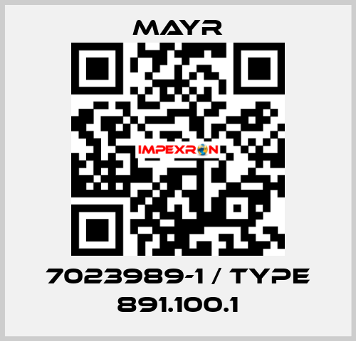 7023989-1 / Type 891.100.1 Mayr