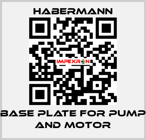 Base plate for pump and motor HABERMANN