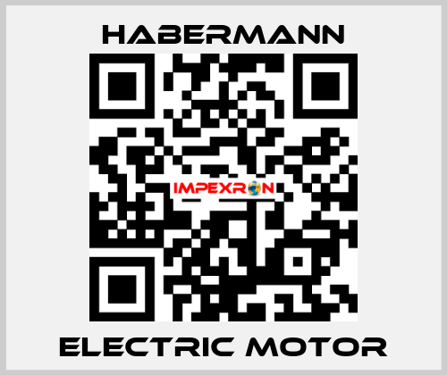 electric motor HABERMANN