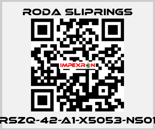 RSZQ-42-A1-X5053-NS01 Roda Sliprings