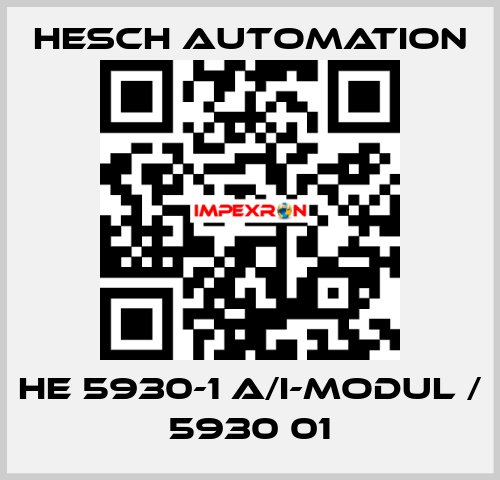 HE 5930-1 A/I-Modul / 5930 01 Hesch Automation