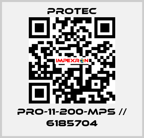 PRO-11-200-MPS // 6185704 Protec