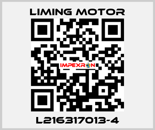 L216317013-4 Liming Motor