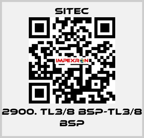 2900. TL3/8 BSP-TL3/8 BSP SITEC