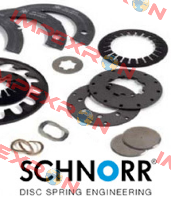 010 700 B Schnorr