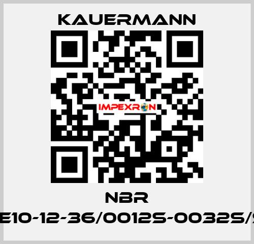 NBR Buckle10-12-36/0012S-0032s/SHA70 Kauermann
