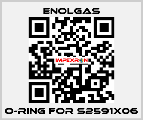 O-Ring for S2591X06 Enolgas