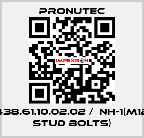 438.61.10.02.02 /  NH-1(M12 stud bolts) PRONUTEC