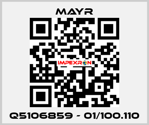 Q5106859 - 01/100.110 Mayr