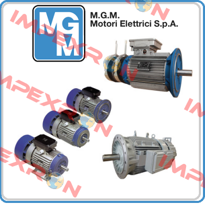 130510001ALFT M.G.M MOTORI