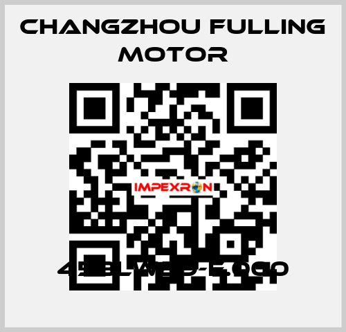 45BLW29-E.000 Changzhou Fulling Motor