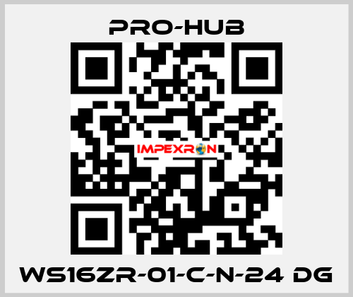 WS16ZR-01-C-N-24 DG Pro-Hub