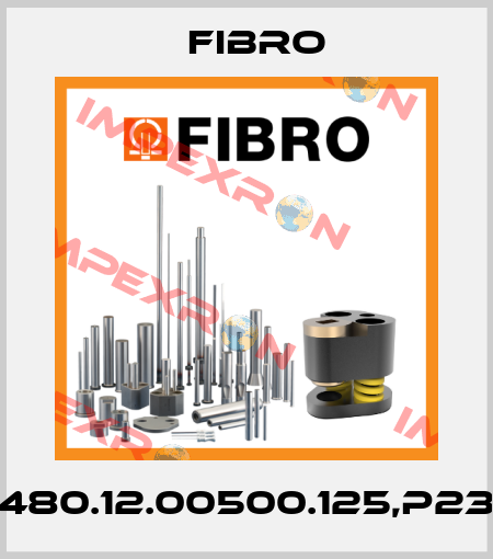 32480.12.00500.125,P2394 Fibro