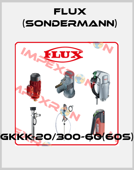 RM-PP-EGKKK-20/300-60(60S)-1,5-IE2/3 Flux (Sondermann)