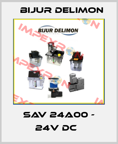 SAV 24A00 - 24V DC   Bijur Delimon