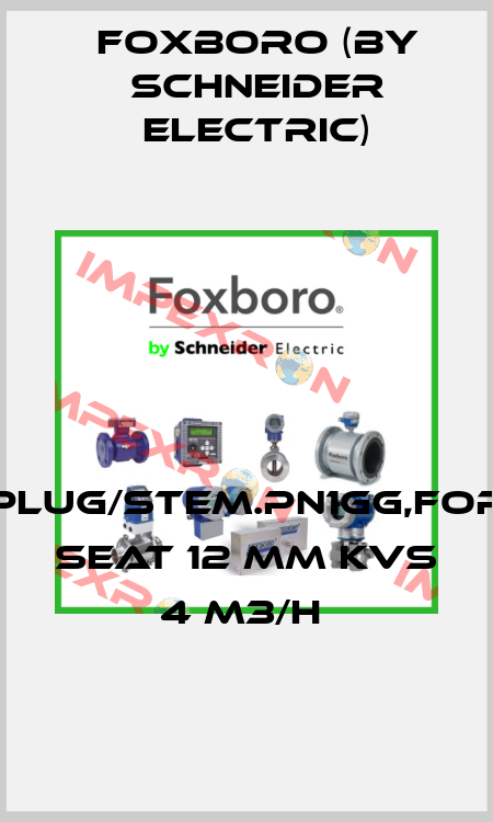 PLUG/STEM.PN1GG,FOR SEAT 12 MM KVS 4 M3/H  Foxboro (by Schneider Electric)